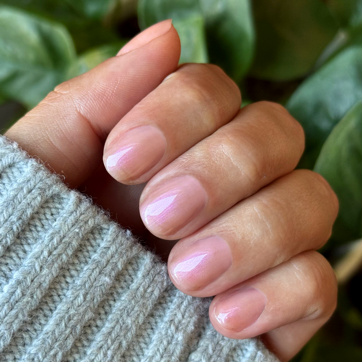 Champagne Chiffon - Builder Gel