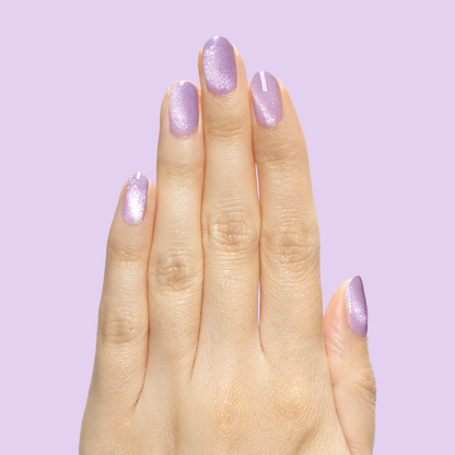 Magnetic Gel Polish Set