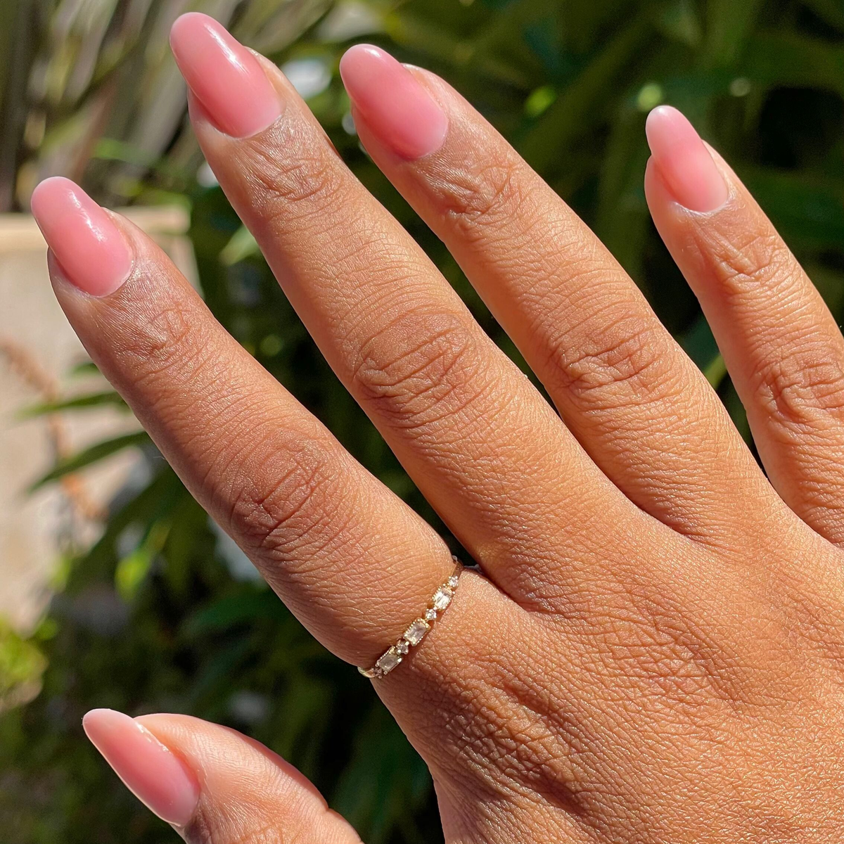 Blush Jelly - Builder Gel