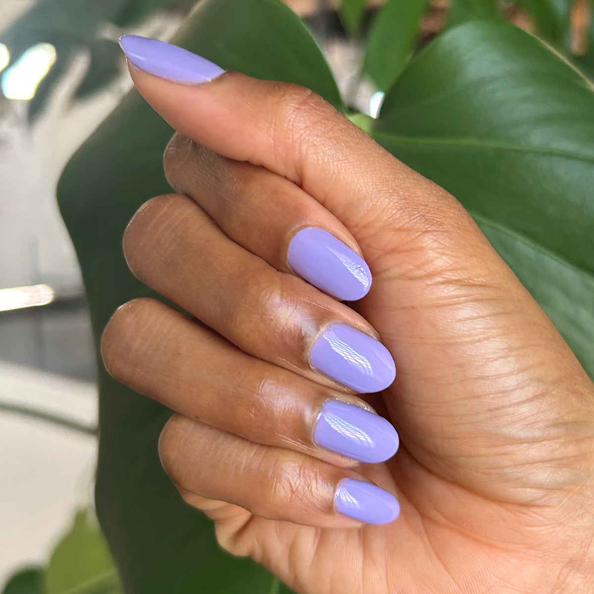 Bold & Unshaken - Gel