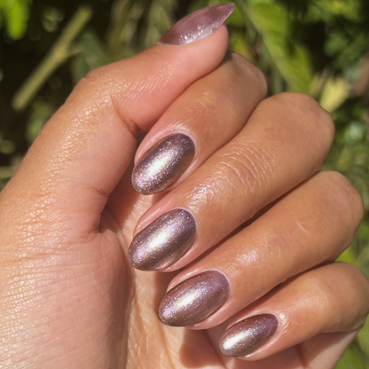 Bronze Velvet