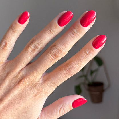 Domino’s Pizza Mani Kit