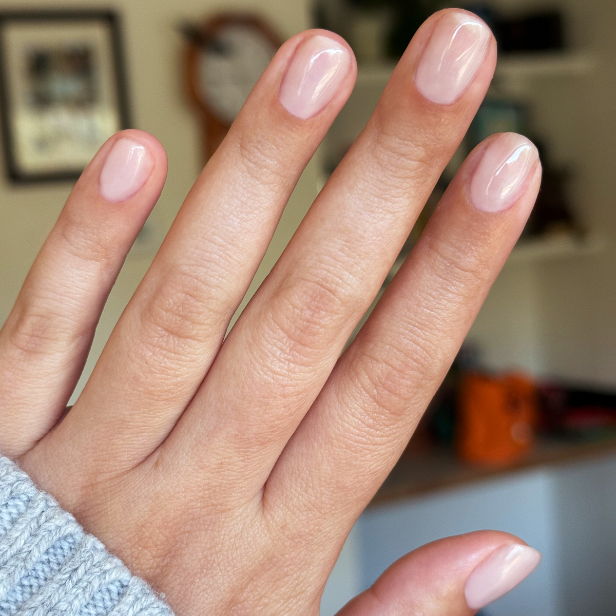 Shimmers + New Neutrals Builder Gel Polish Set