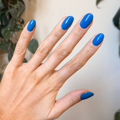 Domino’s Pizza Mani Kit