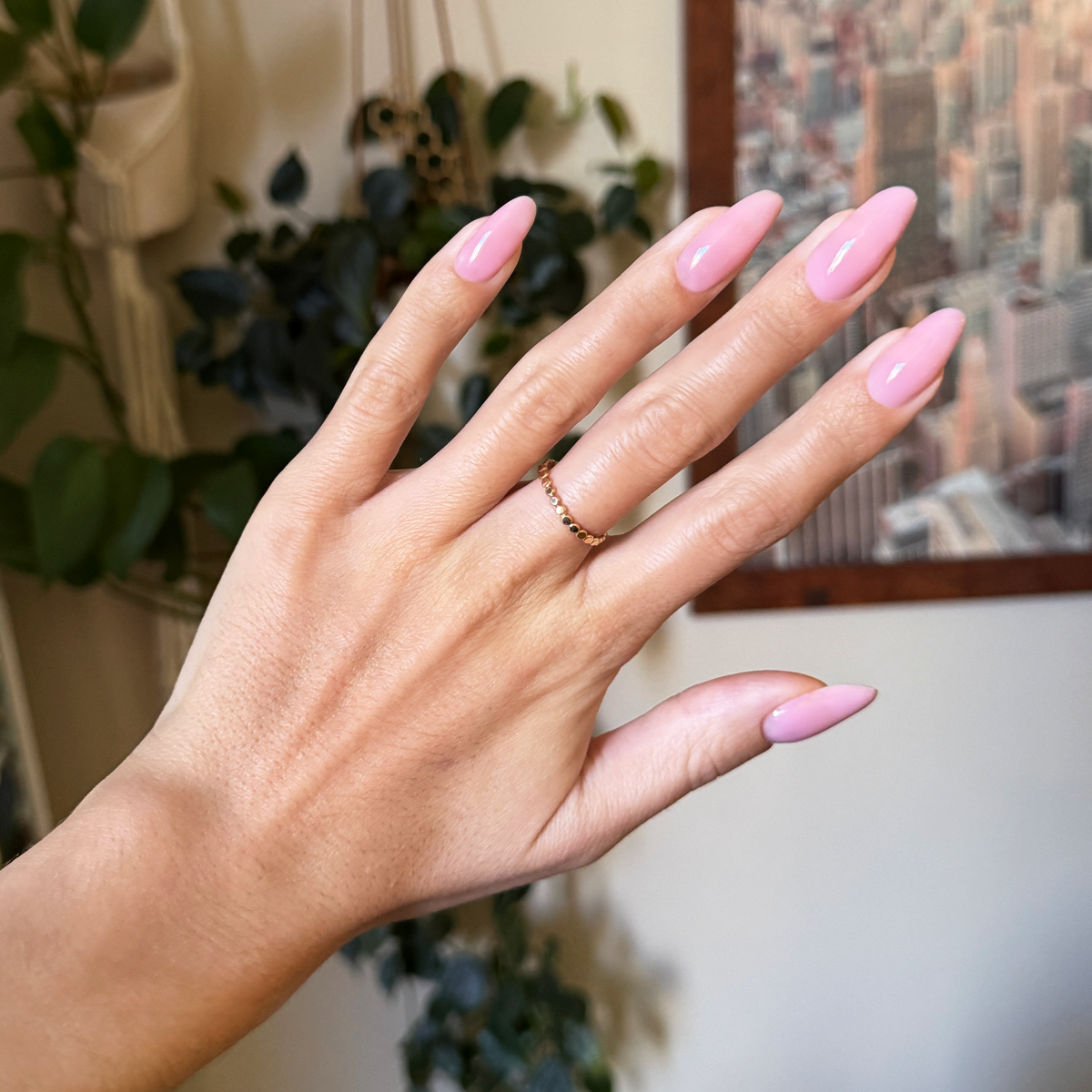 Builder Gel Complete Set