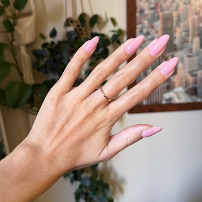 Builder Gel Complete Set