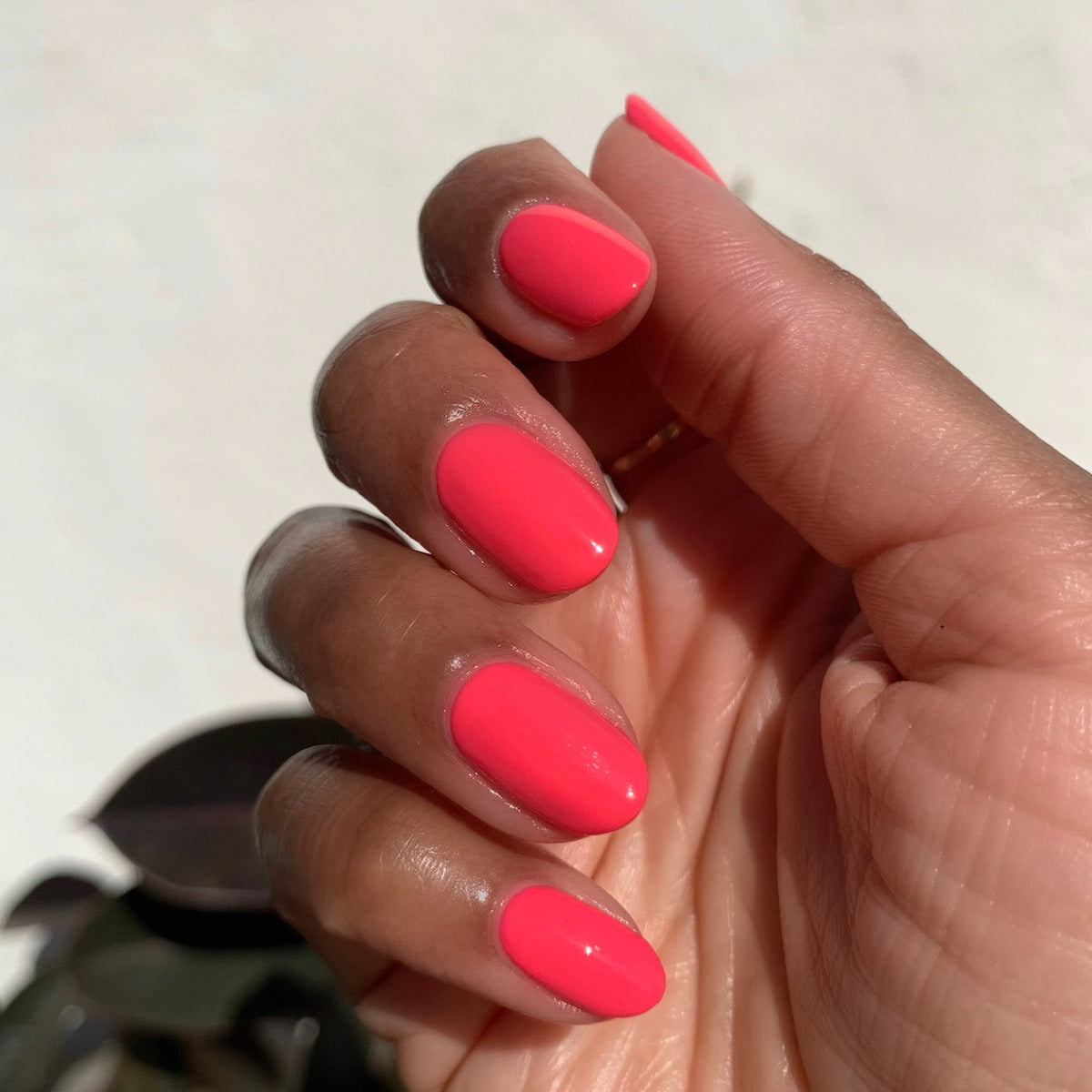 Summer Brights Mani System
