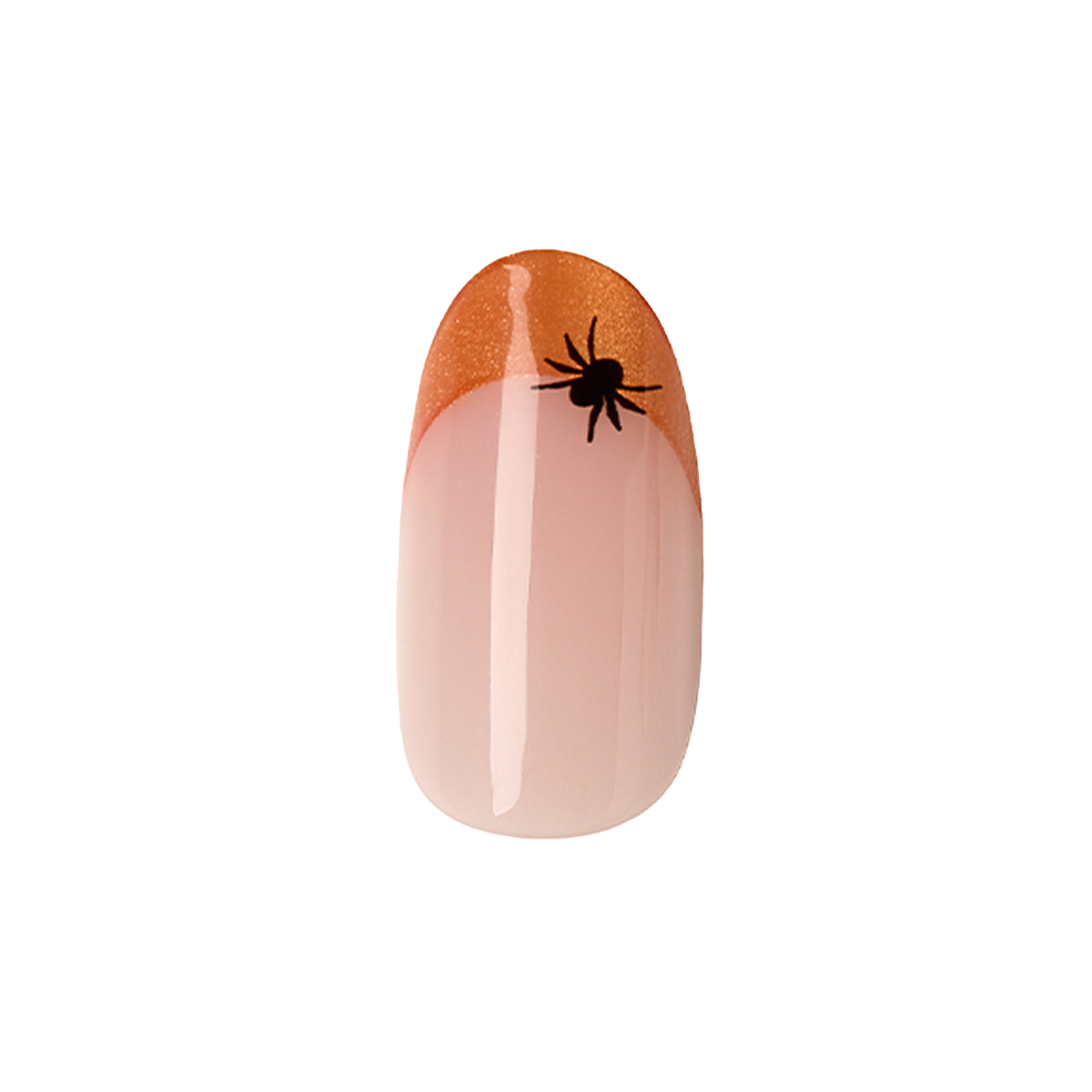 Itsy Bitsy Spider French - Press-On | Medium | Oval
