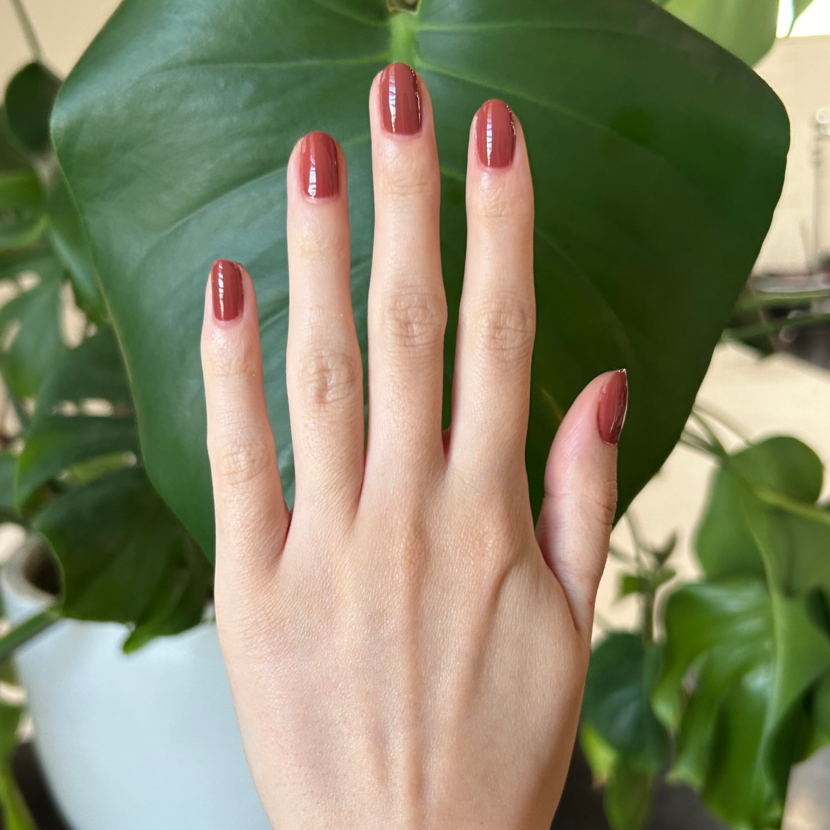 Cozy Brown Gel Mani System