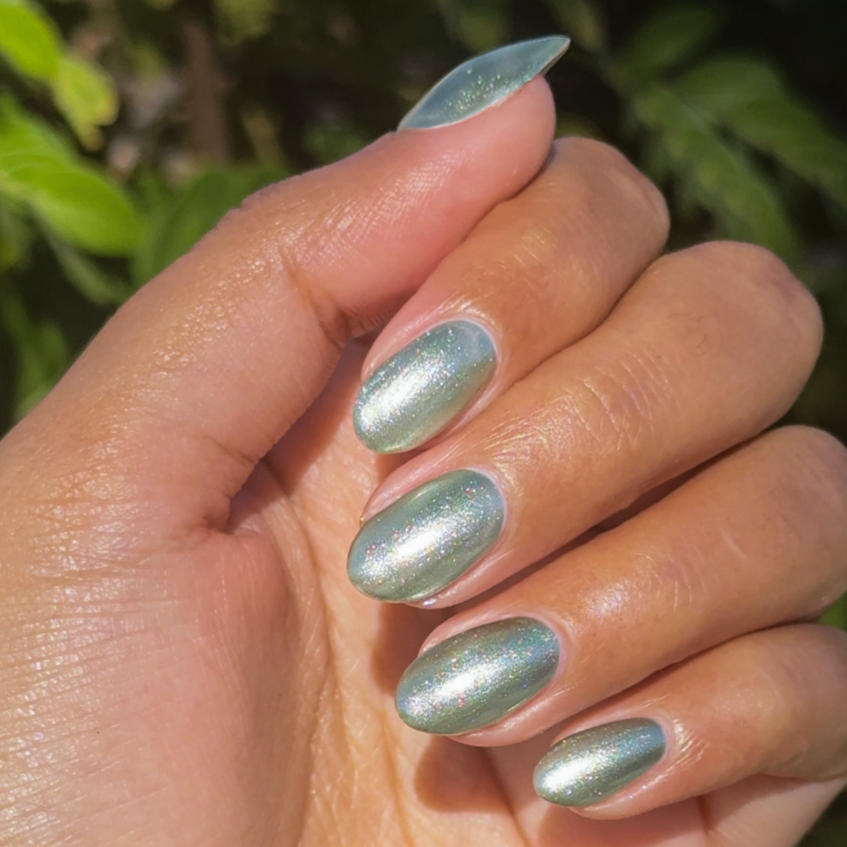 Jade Velvet