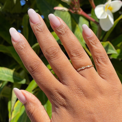 Builder Gel Complete Set