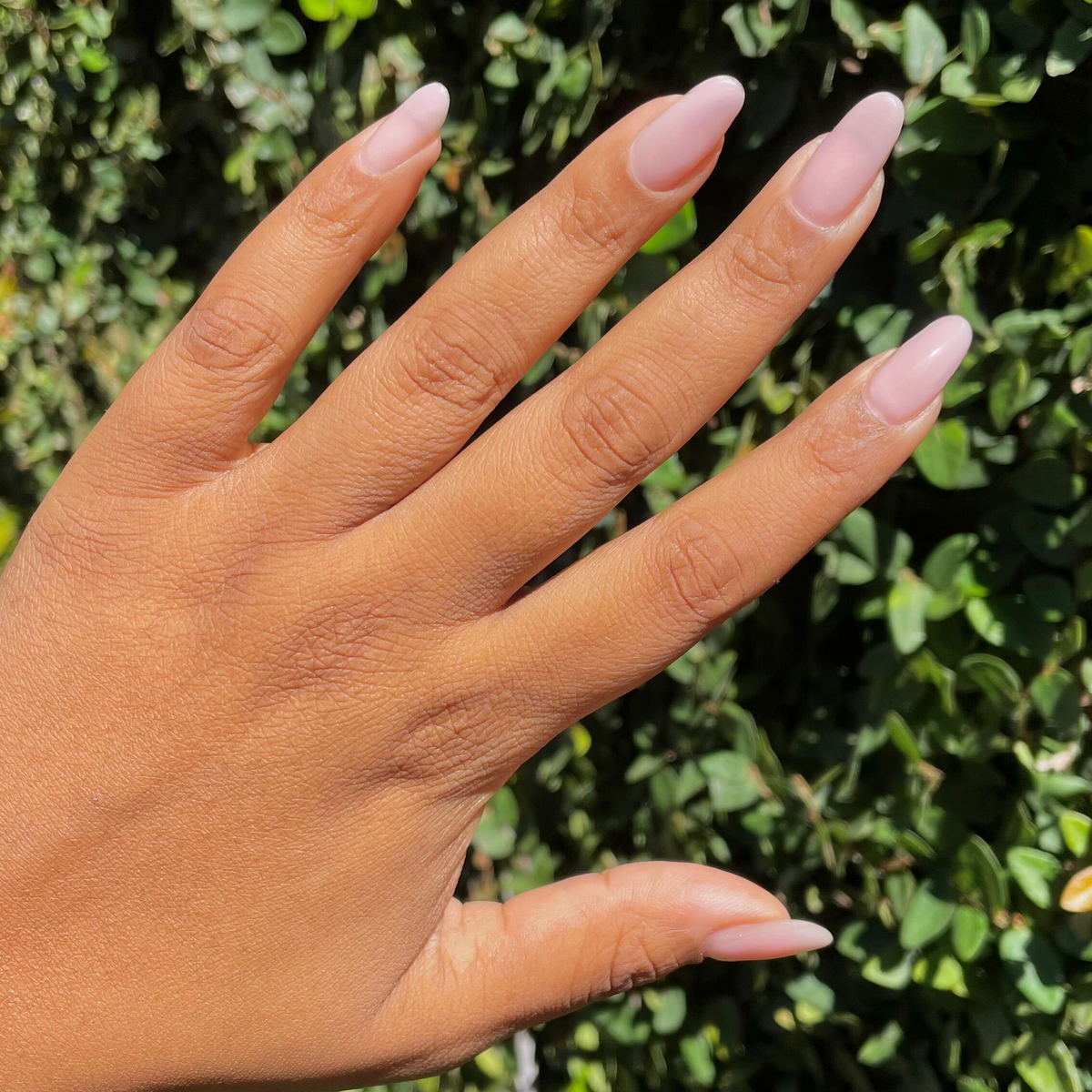Bestsellers + Essentials Builder Gel Polish Set