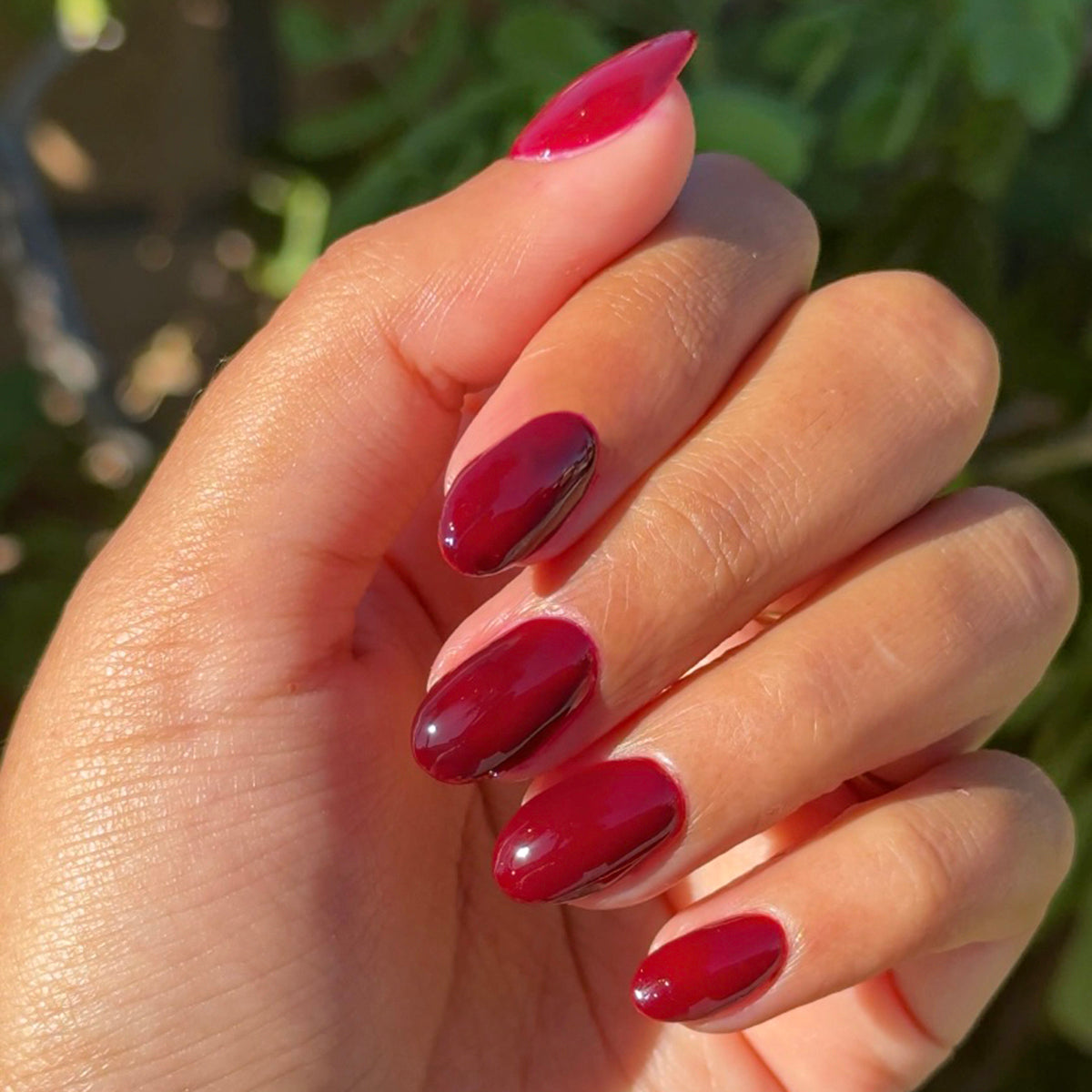 Mulberry - Gel