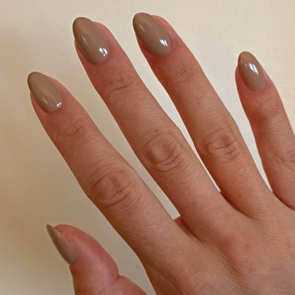 Fall Gel Polish Set