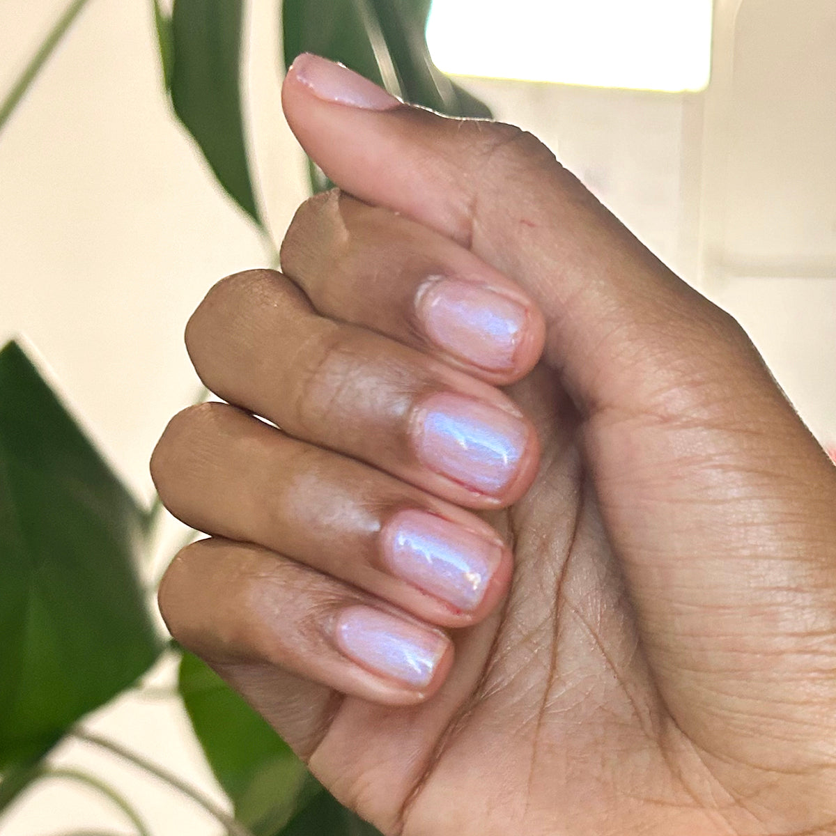 Pink Goldfish - Gel