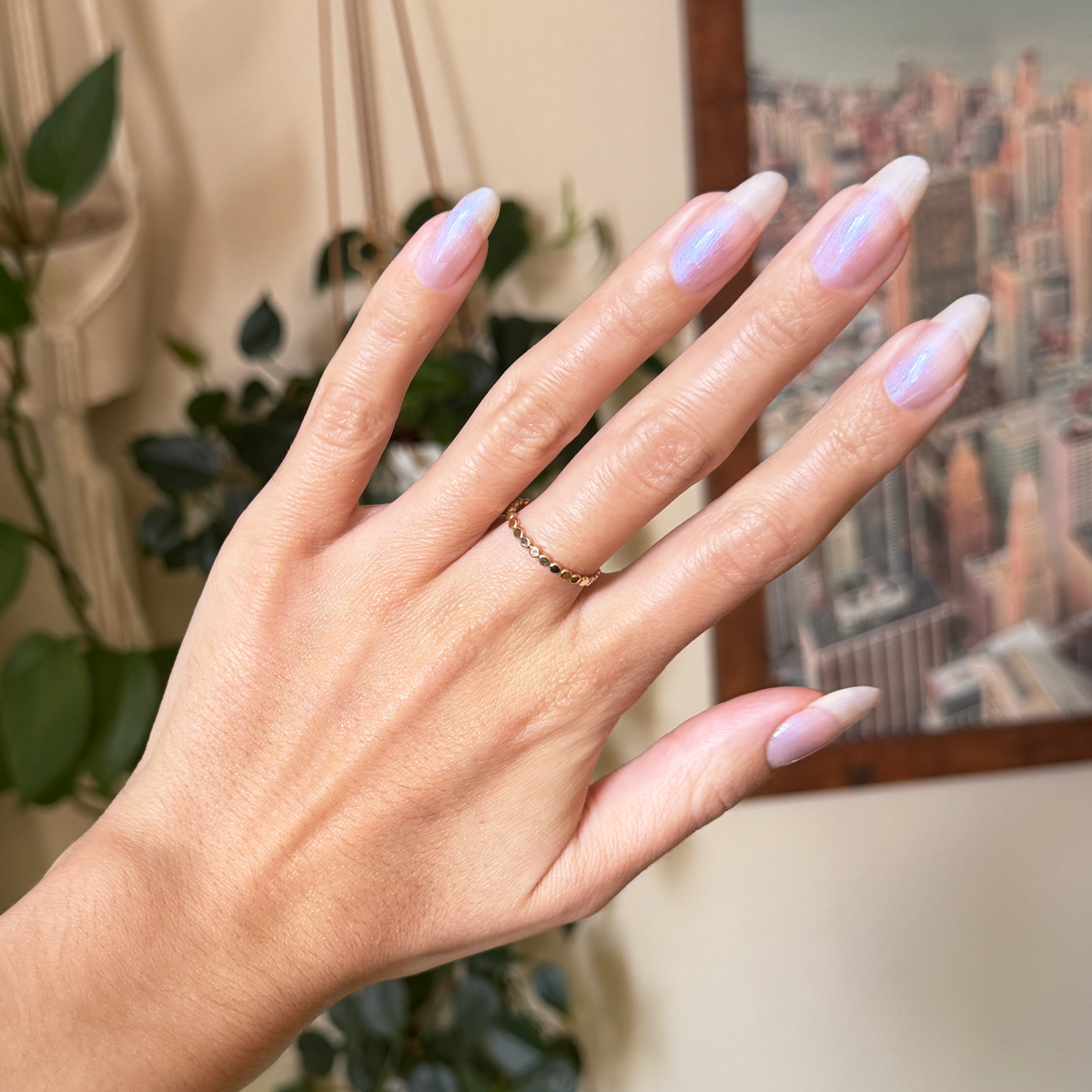 Builder Gel Complete Set