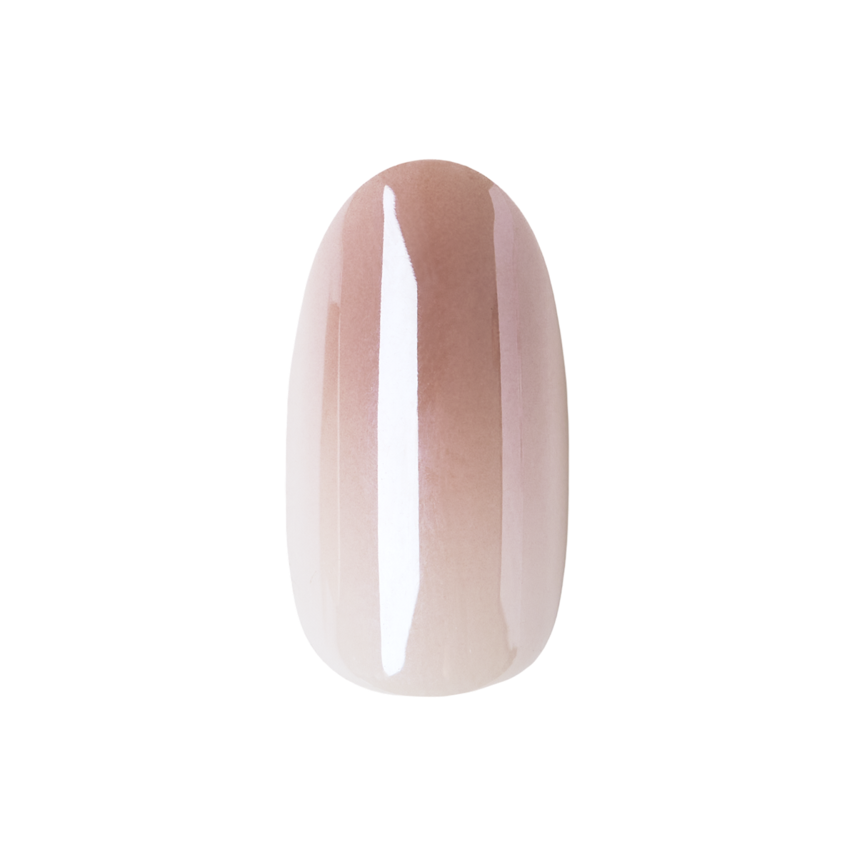 Rosewood Gradient Chrome - Press-On | Medium | Oval
