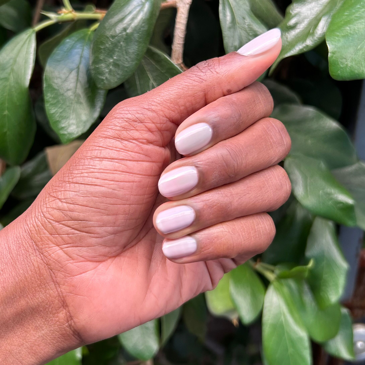 Spring 2026 Gel Set