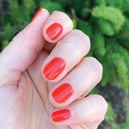 Summer Brights Mani System